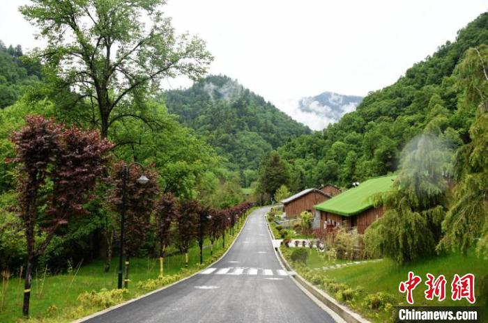 九寨溝熊貓園外景?！【耪瘻峡h委宣傳部提供 攝