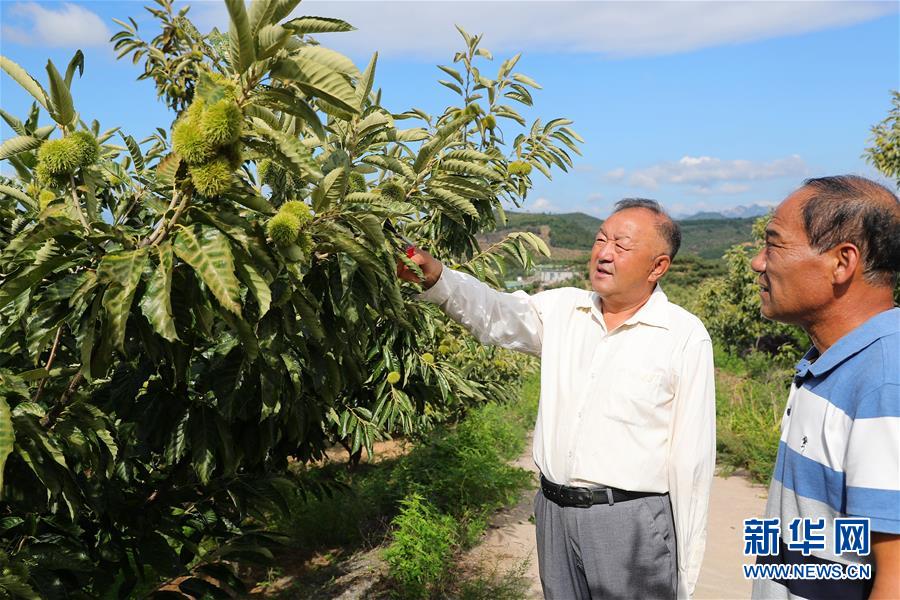 （新華全媒頭條·走向我們的小康生活·圖文互動(dòng)）（11）長城腳下，小康村串成“珍珠鏈”